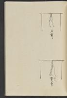 ku-speccoll:13741-291