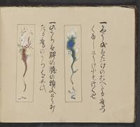 ku-speccoll:14062-24