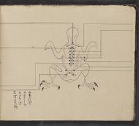 ku-speccoll:14062-32