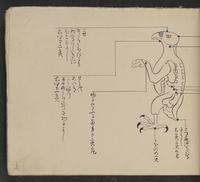 ku-speccoll:14062-35
