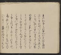 ku-speccoll:14062-124