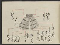 ku-speccoll:14277-11