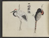 ku-speccoll:14277-21