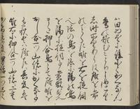 ku-speccoll:14326-152