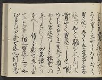 ku-speccoll:14326-165