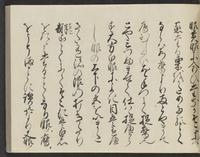 ku-speccoll:14326-307