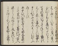 ku-speccoll:14326-313