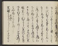 ku-speccoll:14326-315