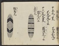 ku-speccoll:14326-337