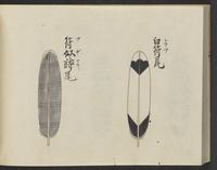 ku-speccoll:14326-338