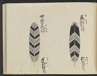 ku-speccoll:14326-339