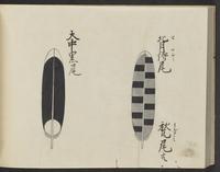 ku-speccoll:14326-340