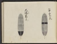 ku-speccoll:14326-341