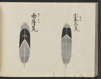 ku-speccoll:14326-342