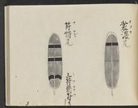 ku-speccoll:14326-345