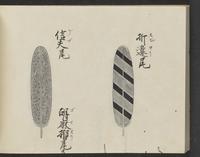 ku-speccoll:14326-346