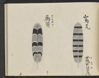 ku-speccoll:14326-347