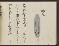 ku-speccoll:14326-348