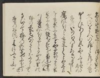 ku-speccoll:14326-373