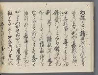 ku-speccoll:14326-394