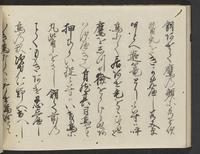 ku-speccoll:14326-404