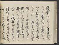 ku-speccoll:14326-558
