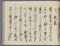 ku-speccoll:14326-613