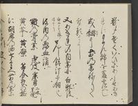 ku-speccoll:14326-624