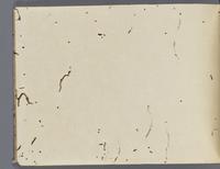 ku-speccoll:14326-665