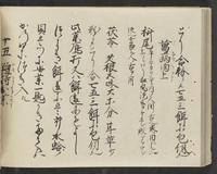 ku-speccoll:14326-736