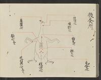 ku-speccoll:14326-832