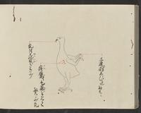 ku-speccoll:14326-838