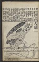 ku-speccoll:15264-15