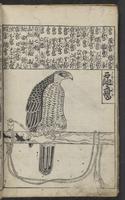 ku-speccoll:15264-16