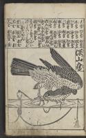 ku-speccoll:15264-17
