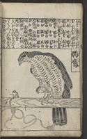 ku-speccoll:15264-18