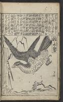 ku-speccoll:15264-28