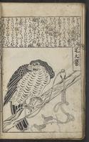 ku-speccoll:15264-42