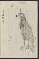 ku-speccoll:15694-34