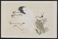 ku-speccoll:15739-10