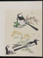 ku-speccoll:15739-11