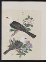 ku-speccoll:15739-12