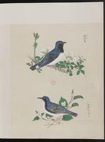 ku-speccoll:15739-15