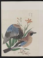 ku-speccoll:15739-16