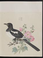 ku-speccoll:15739-17