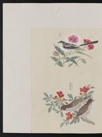 ku-speccoll:15739-18