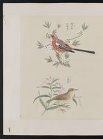 ku-speccoll:15739-22