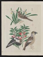 ku-speccoll:15739-28