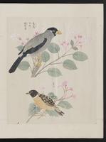 ku-speccoll:15739-29