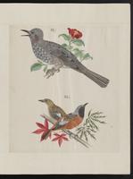 ku-speccoll:15739-33